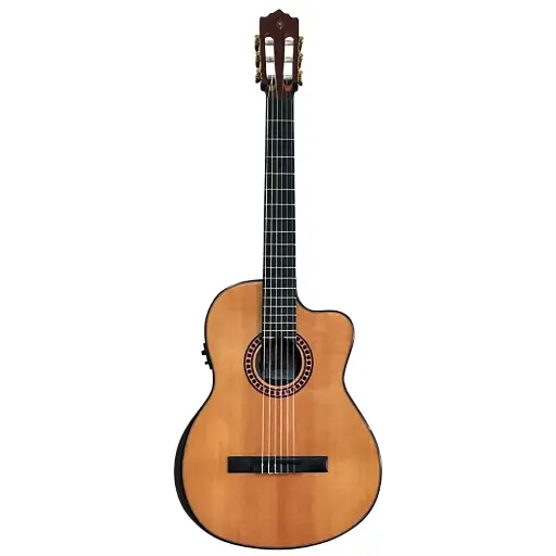 PC16CEQ N PALMER GUITARRA ELECTROACUSTICA